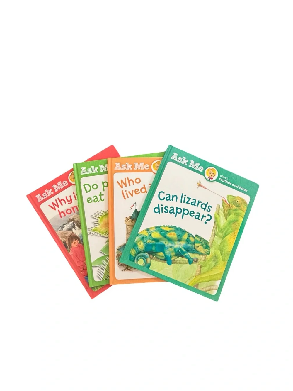 Set of 4 southwestern advantage 